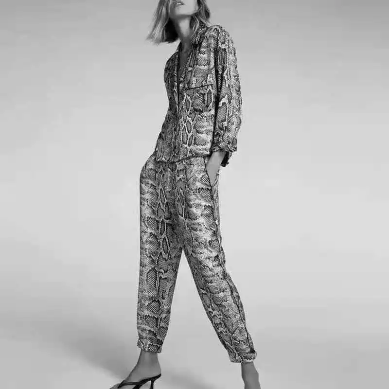 Fall 2021 Women 2 Piece Set Elegant Business Suits Snake Skin Print Office Suits Long Sleeve Shirt High Waist Straight Pants, Picture color
Fall 2021 Women 2 Piece Set Elegant Business Suits Snake Skin Print Office Suits Long Sleeve Shirt High Waist Straight Pants, Picture color