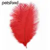 Ostrich feathers for wedding decor H0T7C feather fans ostrich
