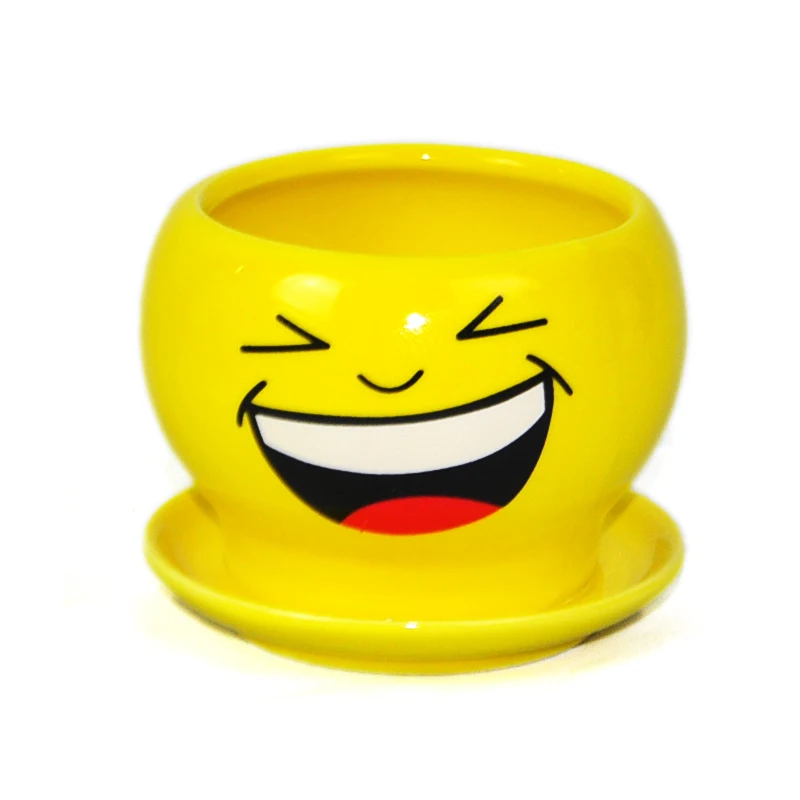 yellow color smile face pot small plant pots in different expressions design for free shipping
yellow color smile face pot small plant pots in different expressions design for free shipping