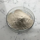 Food Grade Addictive Amylase Enzyme Powder