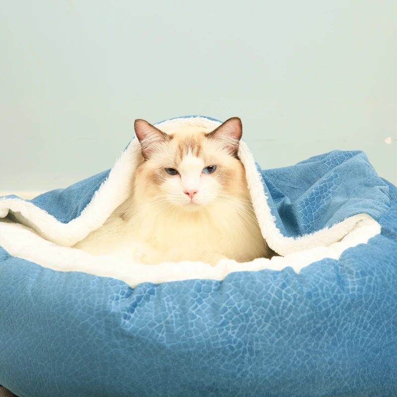 OEM/ODM logo customize Pet Wholesale Washable Luxury Round Pet Dog Beds & accessories
OEM/ODM logo customize Pet Wholesale Washable Luxury Round Pet Dog Beds & accessories
