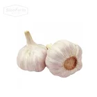 2020 China/Chinese Best Wholesale Fresh Garlic Price -new crop, high quality for export 0704