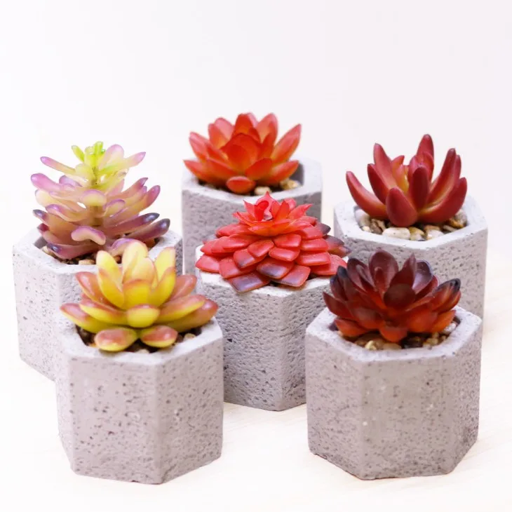Lorenda DRSN001 cement flower pot potted mini stems decor plastic artificial succulent plants decoration, As picture shows
Lorenda DRSN001 cement flower pot potted mini stems decor plastic artificial succulent plants decoration, As picture shows