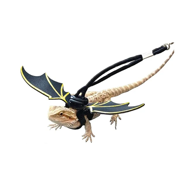 Hot Sale 3 Size Adjustable Reptile Lizard Leash Bearded Dragon Harness Leash Kit, Gold,silver
Hot Sale 3 Size Adjustable Reptile Lizard Leash Bearded Dragon Harness Leash Kit, Gold,silver