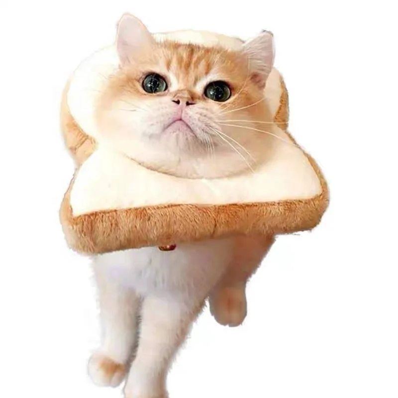 Pet dog and cat creative bread collar super comfortable made of cotton new design Popular Pet Cat Toasted Protective Collar, Picture shows
Pet dog and cat creative bread collar super comfortable made of cotton new design Popular Pet Cat Toasted Protective Collar, Picture shows