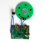 Pre-recorded sound chip plush toy recordable module card