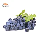 medical products resveratrol food extract grape seed oil extraction machine