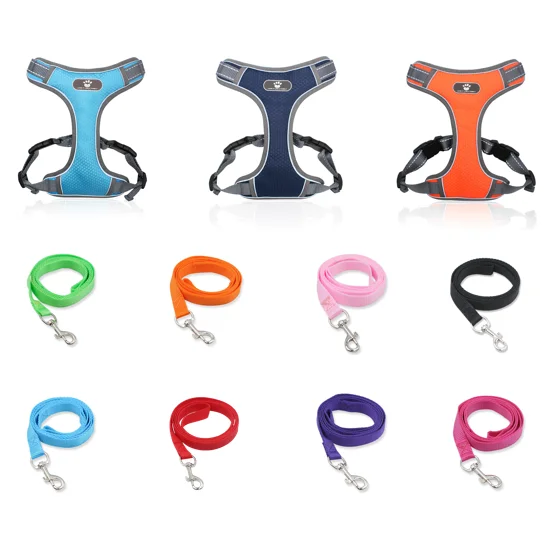 Pet Accessories 2021 Custom Nylon Pet Dog Rope Leash + Dog harness set, Red,rose red,black,blue,purple,green,orange,pink
Pet Accessories 2021 Custom Nylon Pet Dog Rope Leash + Dog harness set, Red,rose red,black,blue,purple,green,orange,pink