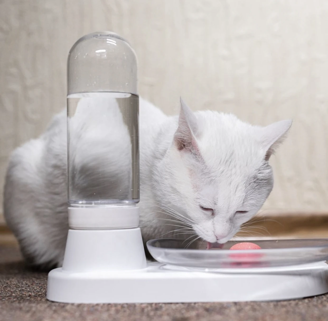 Inspired By Nature Non-electric And Noiseless Indoor Cat Water Fountain, Crystal white
Inspired By Nature Non-electric And Noiseless Indoor Cat Water Fountain, Crystal white