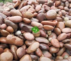 Popular Landscaping Polished Nature Color River Pebble Stone