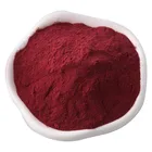 Natural Herbal Cranberry Extract 25% Proanthocyanide(UV)