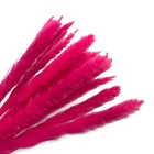 Flowers 2020 Hot Sale Custom Color Wedding/Holiday Decorations Limonium Bouquet 100% Natural Dried Flowers