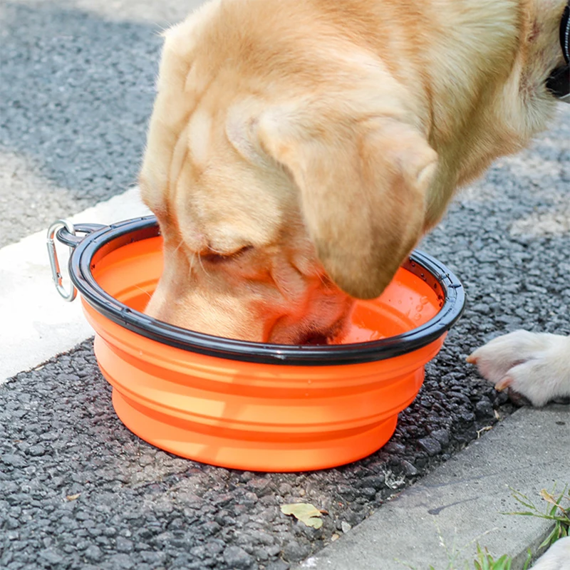 Portable Folding Travel Foldable Silicone Collapsible Food Pet Dog Bowl, Blue,red,orange,yellow
Portable Folding Travel Foldable Silicone Collapsible Food Pet Dog Bowl, Blue,red,orange,yellow