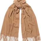 The latest daily life popular series pure cashmere women's scarf with tassels