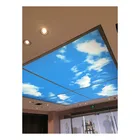 15 years quality guarantee 2.35-5.0M width Blue Sky pvc wall ceiling panels for wall covering