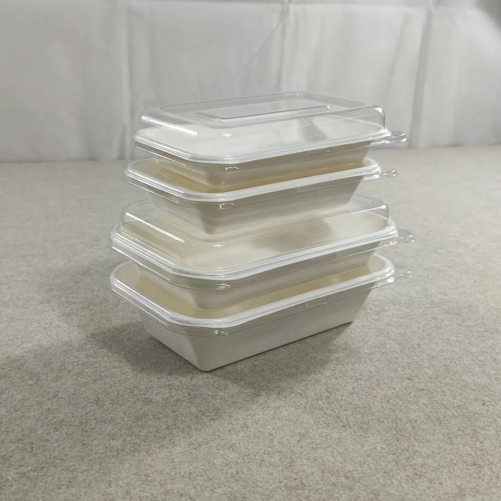 Disposable Biodegradable Bagasse Frozen Food Tray eco-friendly products