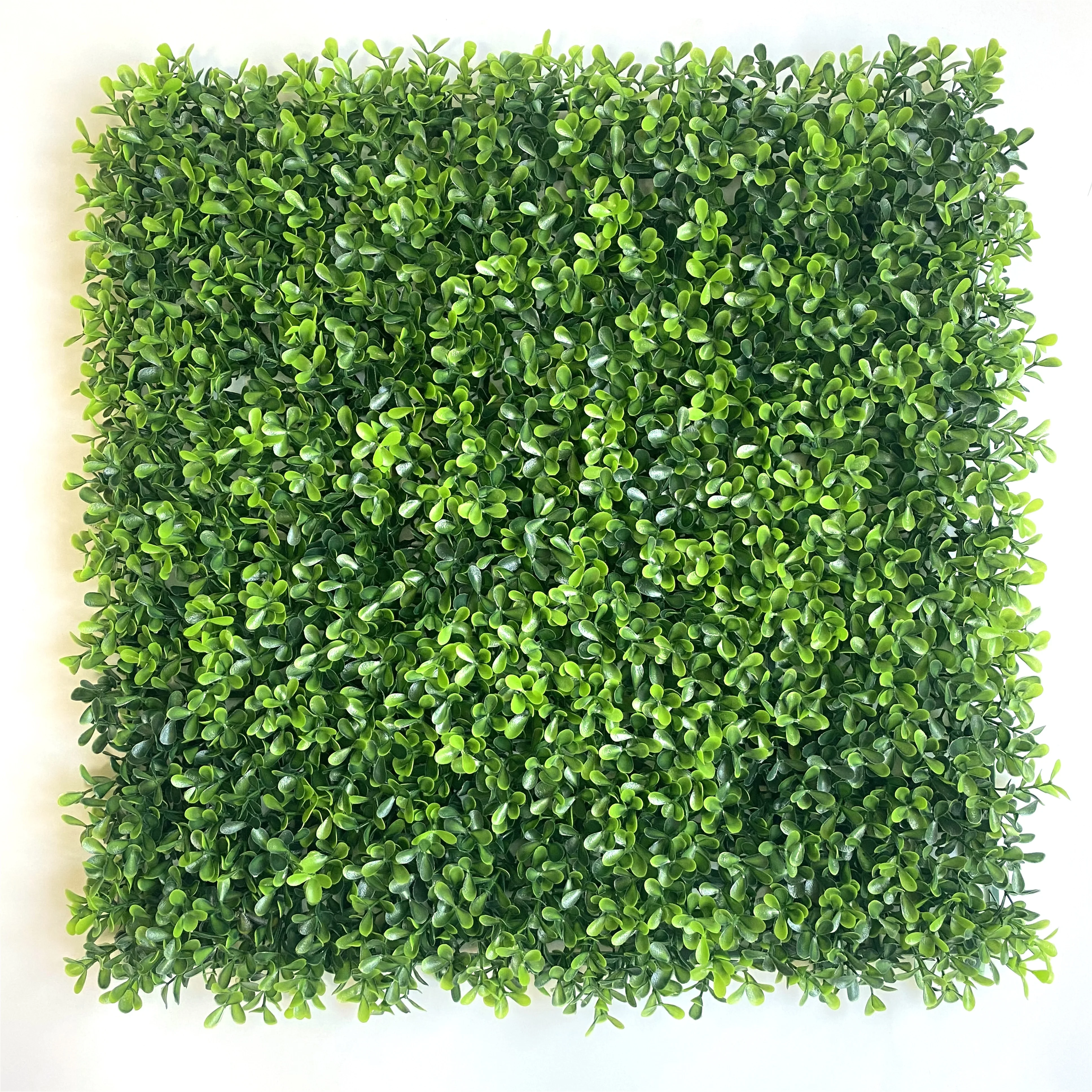 Outdoor plastic leaves artificial wall grass decorative for hall hotel garden and wedding fake plant fence, Customized color
Outdoor plastic leaves artificial wall grass decorative for hall hotel garden and wedding fake plant fence, Customized color