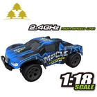 2.4Ghz 1:18 high speed remote control car electric racing toys