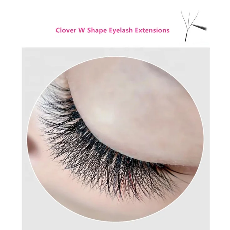 Customized Logo Bulk Clover lash extension Velvet individual W Shape eyelash extension, Black, caramel
Customized Logo Bulk Clover lash extension Velvet individual W Shape eyelash extension, Black, caramel