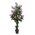 Tree Artificial Indoor Tree YD29346-2 Artificial Wholesale Crape Myrtle Bonsai Flower Tree For Home Indoor Decor