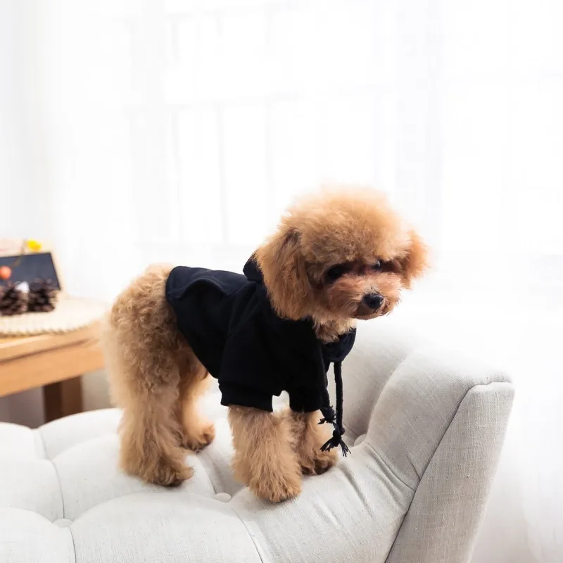 Fashionable Korean Shirts Blank Trendy Cute xxxl 100% Cotton Pet Dog Clothes Hoodie, Customized color
Fashionable Korean Shirts Blank Trendy Cute xxxl 100% Cotton Pet Dog Clothes Hoodie, Customized color