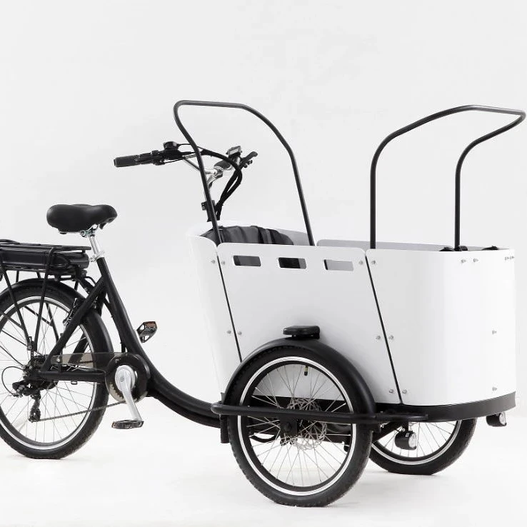 New Style 250W Front Loading Dutch Cargo Bicycle 3 Wheel Family Use Cargo Bike Electric Ice Cream Tricycle for Whole Sale
New Style 250W Front Loading Dutch Cargo Bicycle 3 Wheel Family Use Cargo Bike Electric Ice Cream Tricycle for Whole Sale