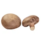 Bulk Vegetables Manufacturer Price Shandong Fresh Bulk Frozen Vegetables