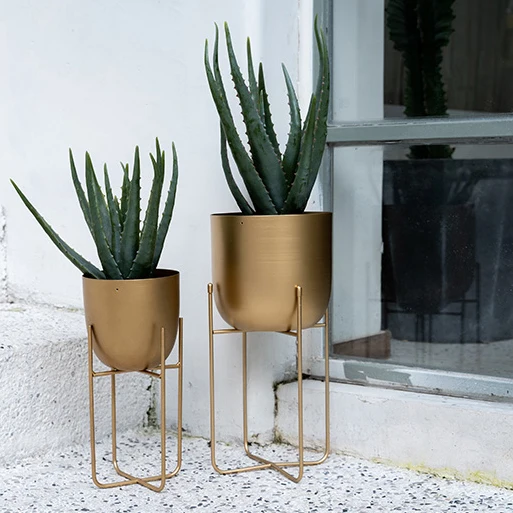 Light Luxury Nordic Gold Flower Stand Plant Pot Decoration Indoor Living Room Durable Plant Stand Shelf Round Pot Holder, Black, gold
Light Luxury Nordic Gold Flower Stand Plant Pot Decoration Indoor Living Room Durable Plant Stand Shelf Round Pot Holder, Black, gold