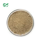 Factory Supply Top Quality Ginger Root Extract Powder