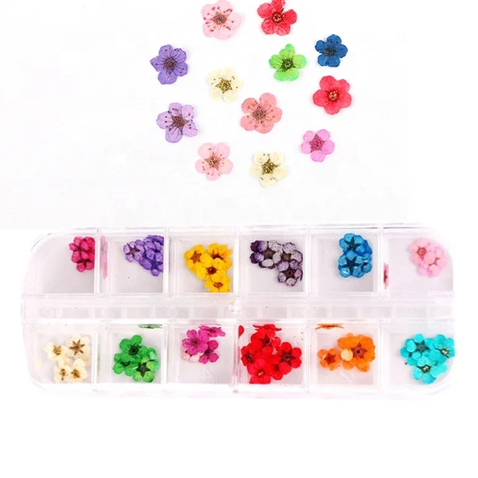 12 Colours Nail 3D Art Dried Dry Flowers Wheel Gel False Nails Box-sized dried flowers 36 60 multi-format nail art accessories, Multi-color
12 Colours Nail 3D Art Dried Dry Flowers Wheel Gel False Nails Box-sized dried flowers 36 60 multi-format nail art accessories, Multi-color