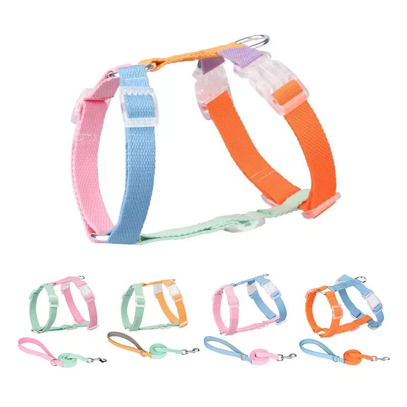 Personalized No Pull Dog Harness I Shape Walking Vest Colorful Pet Harness For Small Medium Dog
Personalized No Pull Dog Harness I Shape Walking Vest Colorful Pet Harness For Small Medium Dog