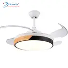 Creative Products Decorative 220V Ceiling Fan With Light