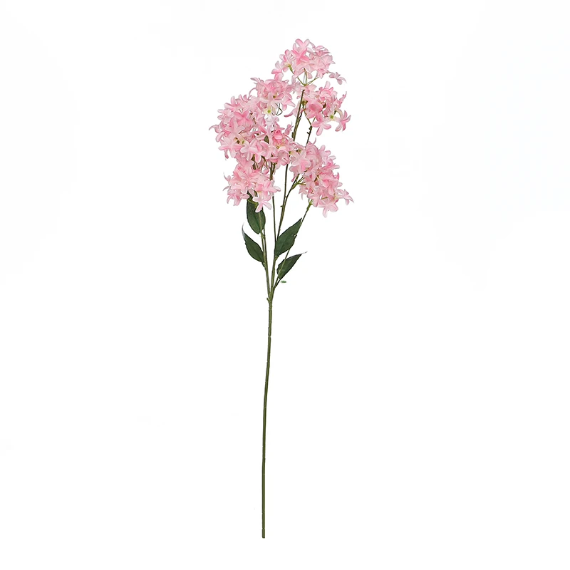 DKB-G0203 China Red Dusty Pink White Artificial Silk Real Touch Latex Velvet Rose Flower Artificial Flowers for Wedding
DKB-G0203 China Red Dusty Pink White Artificial Silk Real Touch Latex Velvet Rose Flower Artificial Flowers for Wedding