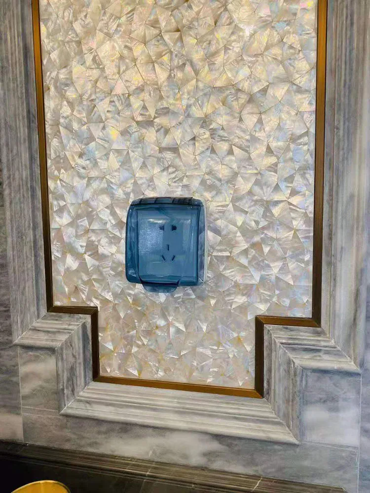 4i Pearl Abalone shell