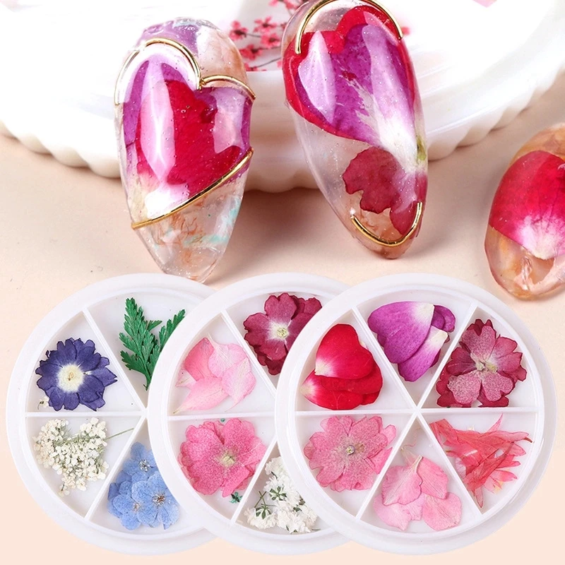 Alloy Mixed DIY 3D Nail Dry Flowers Nail Art Decoration For Acrylic Nail Decoration Dried Accessories, Many colors
Alloy Mixed DIY 3D Nail Dry Flowers Nail Art Decoration For Acrylic Nail Decoration Dried Accessories, Many colors
