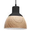 ceramic light and pendant lamp of ceiling