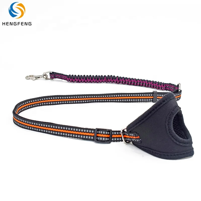 Multifunctional Elastic Reflective Nylon Strap Rope Dog Traction Belt Adjustable Wrist Pet Leash, Picture show or custom color
Multifunctional Elastic Reflective Nylon Strap Rope Dog Traction Belt Adjustable Wrist Pet Leash, Picture show or custom color