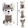 /product-detail/the-world-s-cutest-dog-stuffed-boo-the-dog-dressed-as-a-teddy-bear-plush-toy-62303782117.html