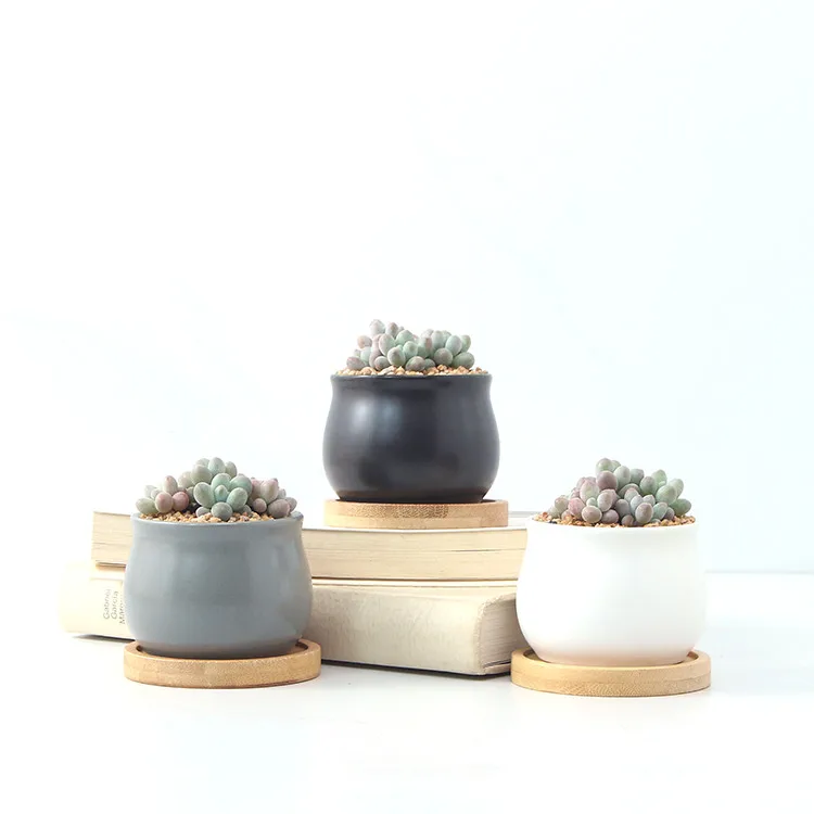 Cheap modern creative personality matte black and white gray lovely juicy flowerpot
Cheap modern creative personality matte black and white gray lovely juicy flowerpot