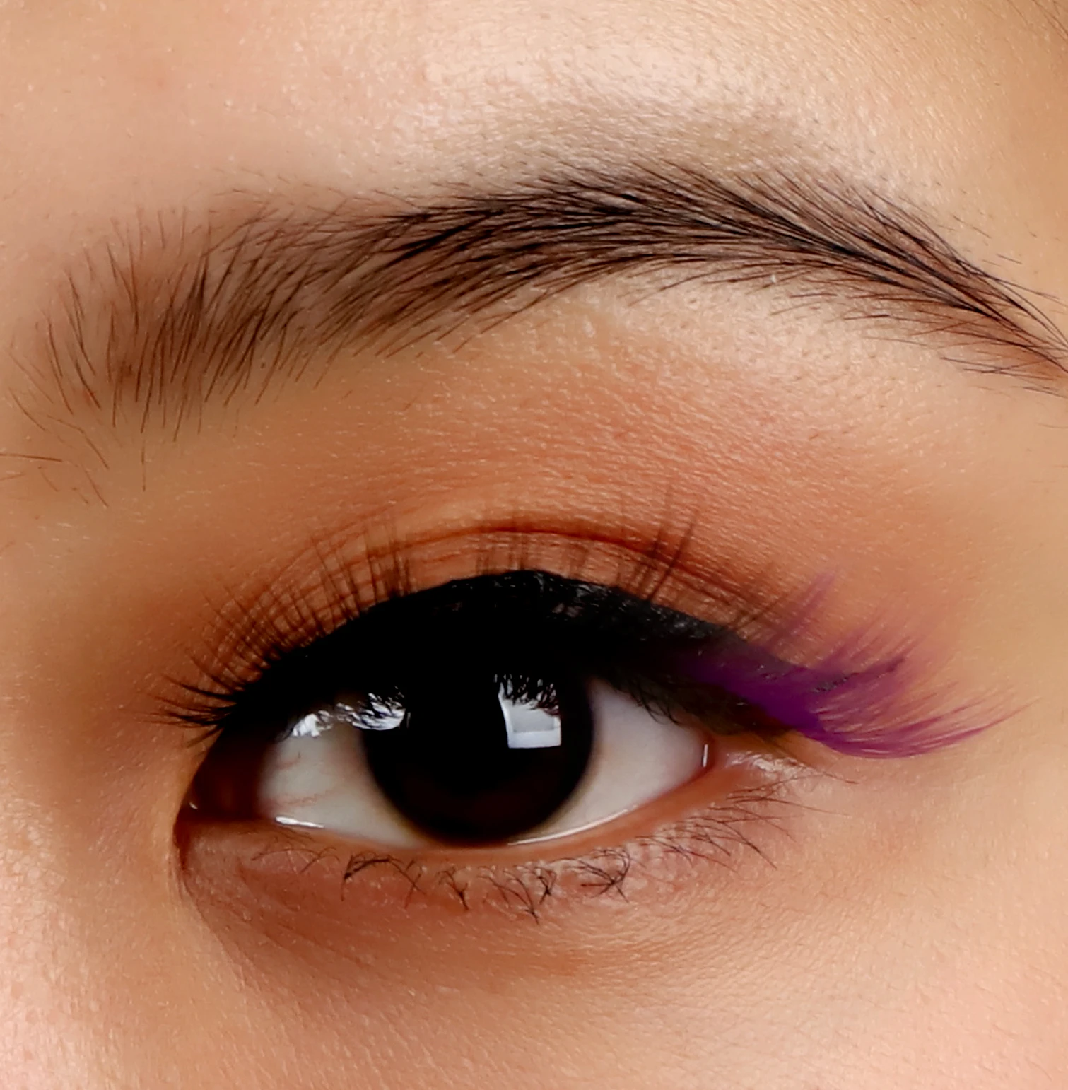 2021 popular style purple and black color faux mink eyelash 
2021 popular style purple and black color faux mink eyelash