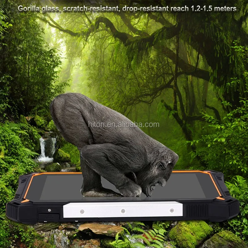 HR828-Gorilla-800