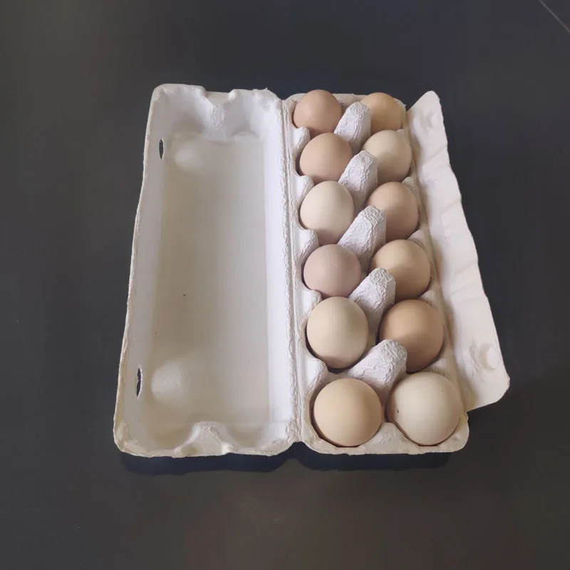 Pt Pack Paper Egg Tray Factory Biodegradable Pulp Fiber Sugarcane