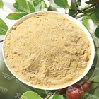 Powder Powder Bulk Supply High Quality Camellia Seed Extract Tea Saponins Powder