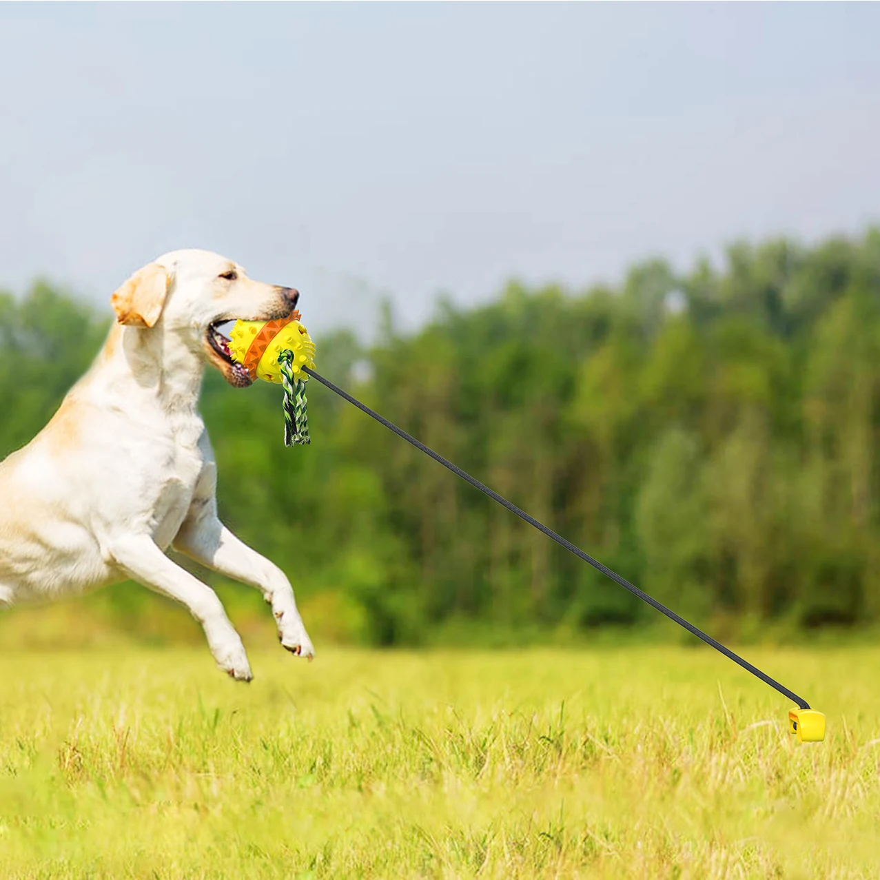 Customzation Pet Toy Outdoor tug of war tetherball dogs leaking food balls elastic pull rope molar ball dog toys, Yellow/blue
Customzation Pet Toy Outdoor tug of war tetherball dogs leaking food balls elastic pull rope molar ball dog toys, Yellow/blue