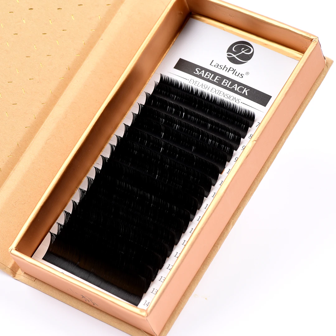 LashPlus korean extension lashes supplies top quality private label synthetic eyelashes super-roots lash extension, Black
LashPlus korean extension lashes supplies top quality private label synthetic eyelashes super-roots lash extension, Black