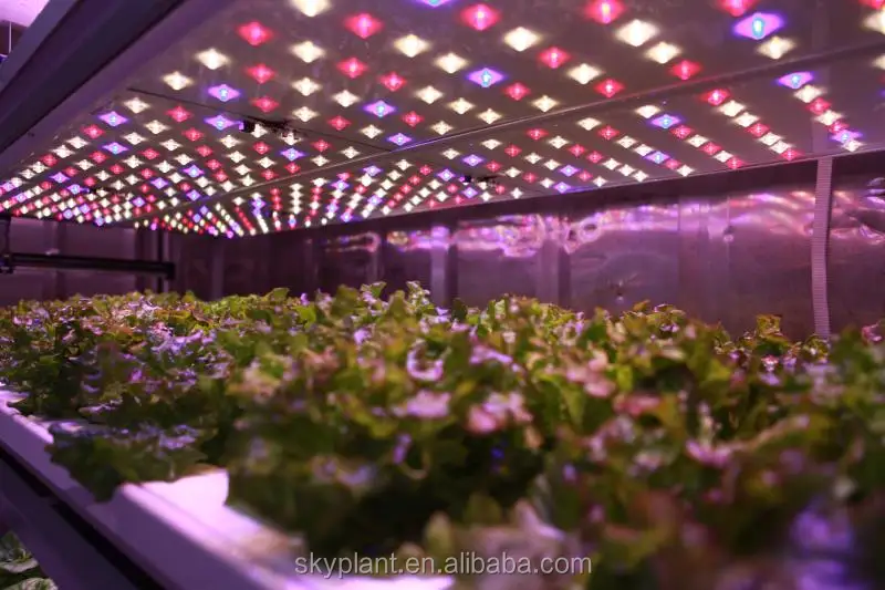 Hydroponic system container hydroponic farm plant factory Vertical Indoor Hydroponic Farms