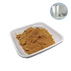 Organic Pure Natural Cissus Quadrangularis Extract