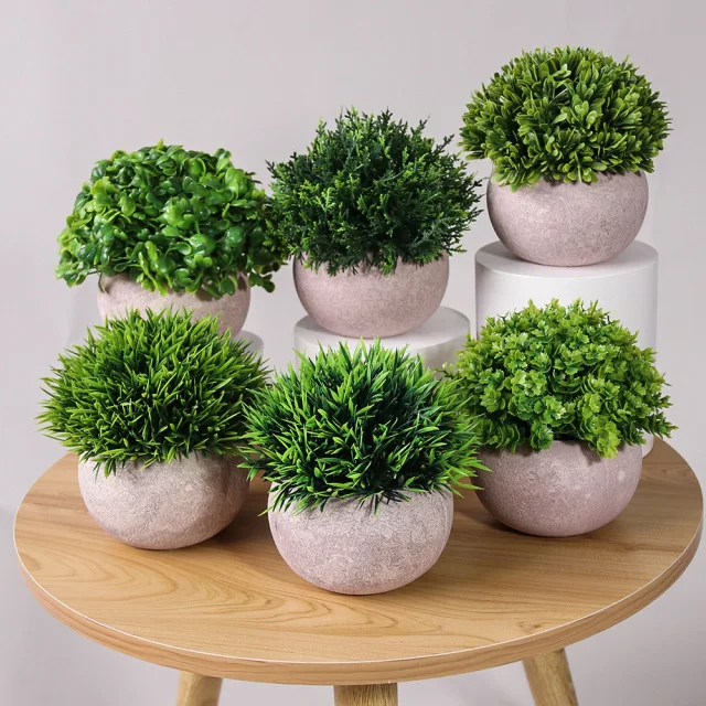 Tortoise shell in cement pot decorative potted plant on table top artificial plants pot
Tortoise shell in cement pot decorative potted plant on table top artificial plants pot