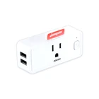 Smart Home Phone App Timing Switch Double USB Wifi Socket