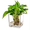 /product-detail/high-quality-clear-empty-french-square-glass-vase-wholesale-glass-vases-in-bulk-62363381051.html